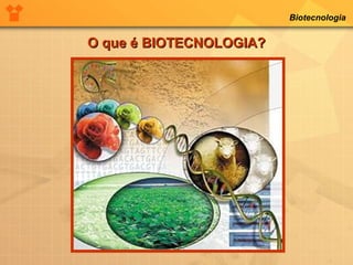 Biotecnologia 
O qquuee éé BBIIOOTTEECCNNOOLLOOGGIIAA?? 
 