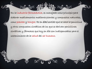 En la industria farmacéutica, es manejada como principio para 
elaborar medicamentos mediante plantas y compuestos naturales, 
como plantas y hongos. Es en este sentido que se saca la penicilina 
y otros compuestos sintéticos de los que se derivan penicilinas 
sintéticas y fármacos que hoy en día son indispensables para el 
sostenimiento de la salud del ser humano. 
 