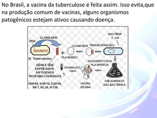 No Brasil, a vacina da tuberculose é feita assim. Isso evita,que 
na produção comum de vacinas, alguns organismos 
patogênicos estejam ativos causando doença. 
 