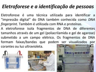 Eletroforese e a identificação de pessoas 
Eletroforese é uma técnica utilizada para identificar a 
“impressão digital” do DNA também conhecida como DNA 
fingerprint. Também é utilizada com RNA e proteínas. 
A eletroforese isola fragmentos de DNA de diferentes 
tamanhos através de um gel (poliacrilamida e gel de agarose) 
submetido a um campo elétrico. Os fragmentos de DNA 
formam faixas/bandas que podem ser visualizados por 
corantes ou luz ultravioleta. 
 