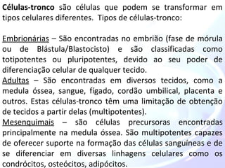 Células-tronco são células que podem se transformar em 
tipos celulares diferentes. Tipos de células-tronco: 
Embrionárias – São encontradas no embrião (fase de mórula 
ou de Blástula/Blastocisto) e são classificadas como 
totipotentes ou pluripotentes, devido ao seu poder de 
diferenciação celular de qualquer tecido. 
Adultas – São encontradas em diversos tecidos, como a 
medula óssea, sangue, fígado, cordão umbilical, placenta e 
outros. Estas células-tronco têm uma limitação de obtenção 
de tecidos a partir delas (multipotentes). 
Mesenquimais – são células precursoras encontradas 
principalmente na medula óssea. São multipotentes capazes 
de oferecer suporte na formação das células sanguíneas e de 
se diferenciar em diversas linhagens celulares como os 
condrócitos, osteócitos, adipócitos. 
 