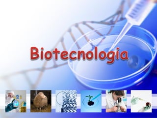 Biotecnologia 
 