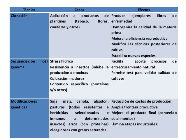 BIOTECNOLOGÍA: PROBLEMAS ACTUALES, APLICACIONES, RIESGOS, BENEFICIOS …