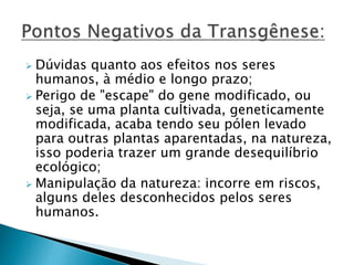  Dúvidas quanto aos efeitos nos seres 
humanos, à médio e longo prazo; 
 Perigo de "escape" do gene modificado, ou 
seja, se uma planta cultivada, geneticamente 
modificada, acaba tendo seu pólen levado 
para outras plantas aparentadas, na natureza, 
isso poderia trazer um grande desequilíbrio 
ecológico; 
 Manipulação da natureza: incorre em riscos, 
alguns deles desconhecidos pelos seres 
humanos. 
 
