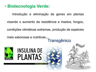 • Biotecnologia Verde: 
Introdução e eliminação de genes em plantas 
visando o aumento da resistência a insetos, fungos, 
condições climáticas extremas, produção de espécies 
mais saborosas e nutritivas... 
Transgênico 
 