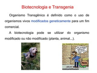 Biotecnologia e Transgenia 
Organismo Transgênico é definido como o uso de 
organismos vivos modificados geneticamente para um fim 
comercial. 
A biotecnologia pode se utilizar do organismo 
modificado ou não modificado (planta, animal...). 
 
