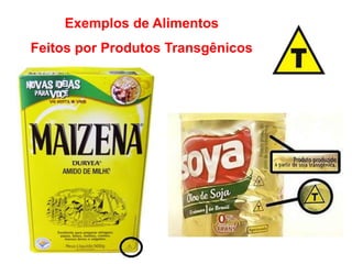 Exemplos de Alimentos 
Feitos por Produtos Transgênicos 
 