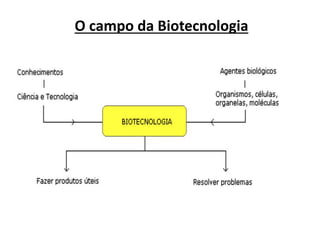 O campo da Biotecnologia 
 