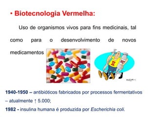 • Biotecnologia Vermelha: 
Uso de organismos vivos para fins medicinais, tal 
como para o desenvolvimento de novos 
medicamentos. 
1940-1950 – antibióticos fabricados por processos fermentativos 
– atualmente ↑ 5.000; 
1982 - insulina humana é produzida por Escherichia coli. 
 