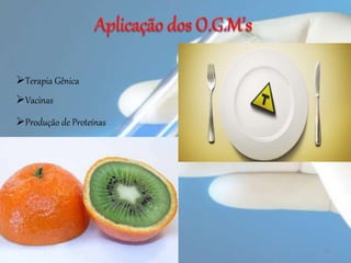 13
Terapia Gênica
Vacinas
Produção de Proteínas
 