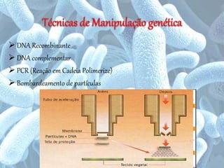  DNA Recombinante
 DNA complementar
 PCR (Reação em Cadeia Polimerize)
 Bombardeamento de partículas
7
 