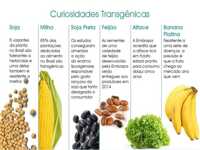 Genetically Modified Food