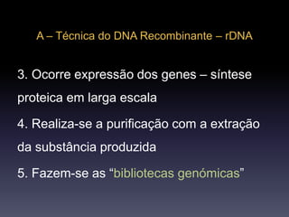 A – Técnica do DNA Recombinante – rDNA
3. Ocorre expressão dos genes – síntese
proteica em larga escala
4. Realiza-se a purificação com a extração
da substância produzida
5. Fazem-se as “bibliotecas genómicas”
 