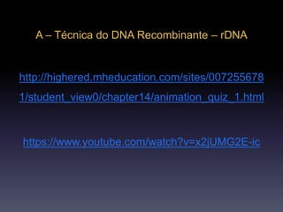 A – Técnica do DNA Recombinante – rDNA
http://highered.mheducation.com/sites/007255678
1/student_view0/chapter14/animation_quiz_1.html
https://www.youtube.com/watch?v=x2jUMG2E-ic
 