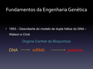 Fundamentos da Engenharia Genética
• 1953 – Descoberta do modelo de dupla hélice do DNA –
Watson e Crick
Dogma Central da Bioquímica
DNA mRNA proteína
 