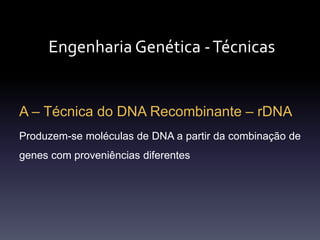 Engenharia Genética -Técnicas
A – Técnica do DNA Recombinante – rDNA
Produzem-se moléculas de DNA a partir da combinação de
genes com proveniências diferentes
 