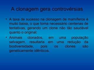 A clonagem gera controvérsias
• A taxa de sucesso na clonagem de mamíferos é
muito baixa, o que torna necessário centenas de
tentativas, gerando um clone não tão saudável
quanto o original;
• Animais clonados, em uma população
selvagem, resultaria em uma redução da
biodiversidade, pois os clones são
geneticamente idênticos.
 