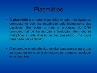Plasmídios
• O plasmídio é o material genético circular não ligado ao
cromossomo que fica espalhado pelo hialoplasma das
bactérias. Ele sofre o mesmo processo do DNA
cromossomal de transcrição e tradução, além de, se
multiplicar a cada divisão celular, passando uma cópia
para cada célula “filha”;
• O plasmídio é retirado das células bacterianas para que
se possa inserir o gene de estudo, para depois recolocá-
lo na bactéria.
 