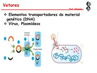 Vetores
Prof. Emanuel
 Elementos transportadores do material
genético (DNA)
 Vírus, Plasmídeos
 
