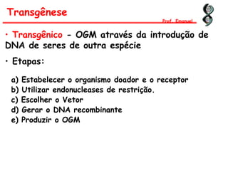 Transgênese
Prof. Emanuel
• Transgênico - OGM através da introdução de
DNA de seres de outra espécie
• Etapas:
a) Estabelecer o organismo doador e o receptor
b) Utilizar endonucleases de restrição.
c) Escolher o Vetor
d) Gerar o DNA recombinante
e) Produzir o OGM
 