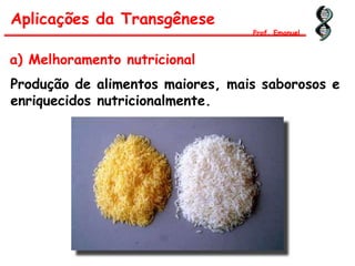 Aplicações da Transgênese
Prof. Emanuel
a) Melhoramento nutricional
Produção de alimentos maiores, mais saborosos e
enriquecidos nutricionalmente.
 