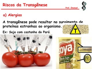 a) Alergias
Riscos da Transgênese
Prof. Emanuel
A transgênese pode resultar no surgimento de
proteínas estranhas ao organismo.
Ex: Soja com castanha do Pará.
 