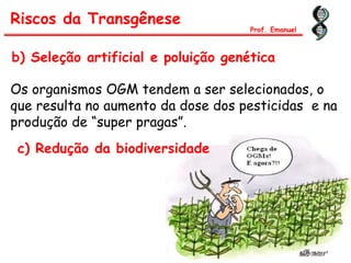 b) Seleção artificial e poluição genética
Riscos da Transgênese
Prof. Emanuel
Os organismos OGM tendem a ser selecionados, o
que resulta no aumento da dose dos pesticidas e na
produção de “super pragas”.
c) Redução da biodiversidade
 