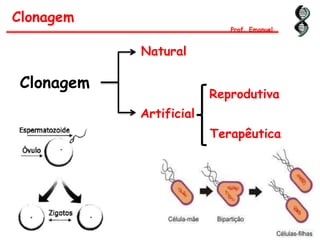 Clonagem
Prof. Emanuel
Clonagem
Natural
Artificial
Reprodutiva
Terapêutica
 