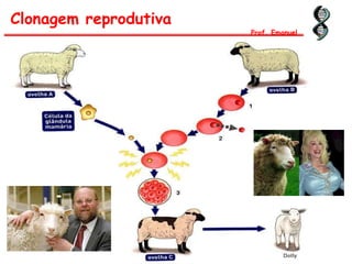 Clonagem reprodutiva
Prof. Emanuel
 