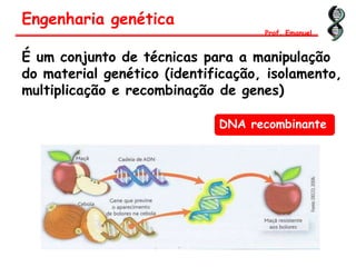 É um conjunto de técnicas para a manipulação
do material genético (identificação, isolamento,
multiplicação e recombinação de genes)
Engenharia genética
Prof. Emanuel
DNA recombinante
 