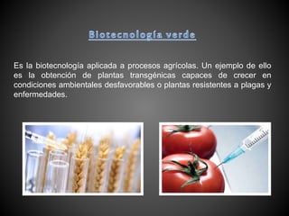Es la biotecnología aplicada a procesos agrícolas. Un ejemplo de ello
es la obtención de plantas transgénicas capaces de crecer en
condiciones ambientales desfavorables o plantas resistentes a plagas y
enfermedades.
 