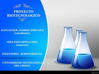 PROYECTO
BIOTECNOLOGICO
ALEXANDER ANDRES MIRANDA
(estudiante)
NISA INES SEPULVEDA
(asesora)
INGENIERIA AGROFORESTAL
UNIVERSIDAD TECNOLOGICA
DEL CHOCO
 