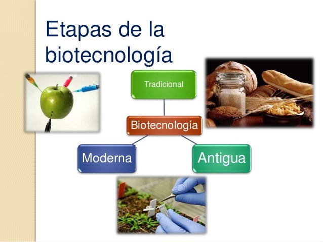 En Que Consiste La Biotecnologia Tradicional