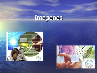 Imágenes 