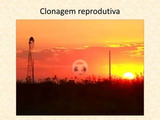 Clonagem reprodutiva
 