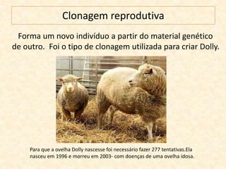 Clonagem reprodutiva
Forma um novo indivíduo a partir do material genético
de outro. Foi o tipo de clonagem utilizada para criar Dolly.
Para que a ovelha Dolly nascesse foi necessário fazer 277 tentativas.Ela
nasceu em 1996 e morreu em 2003- com doenças de uma ovelha idosa.
 