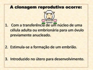 A clonagem reprodutiva ocorre:
1. Com a transferência de um núcleo de uma
célula adulta ou embrionária para um óvulo
previamente anucleado.
2. Estimula-se a formação de um embrião.
3. Introduzido no útero para desenvolvimento.
 