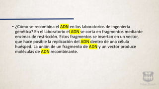 • ¿Cómo se recombina el ADN en los laboratorios de ingeniería
genética? En el laboratorio el ADN se corta en fragmentos mediante
enzimas de restricción. Estos fragmentos se insertan en un vector,
que hace posible la replicación del ADN dentro de una célula
huésped. La unión de un fragmento de ADN y un vector produce
moléculas de ADN recombinante.
 