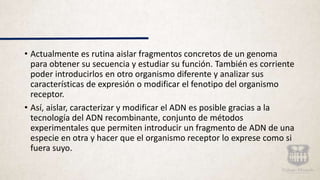 • Actualmente es rutina aislar fragmentos concretos de un genoma
para obtener su secuencia y estudiar su función. También es corriente
poder introducirlos en otro organismo diferente y analizar sus
características de expresión o modificar el fenotipo del organismo
receptor.
• Así, aislar, caracterizar y modificar el ADN es posible gracias a la
tecnología del ADN recombinante, conjunto de métodos
experimentales que permiten introducir un fragmento de ADN de una
especie en otra y hacer que el organismo receptor lo exprese como si
fuera suyo.
 