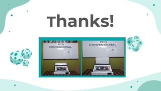 CREDITS: This presentation template was created by Slidesgo, including icons by
Flaticon, infographics & images by Freepik and illustrations by Stories
Thanks!
 