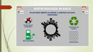 USOS Y APLICACIONES DE LA BIOTECNOLOGÍA EN LA
ACTUALIDAD
 La aplicación de la biotecnología y la microbiología se enfoca ...