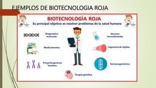 EJEMPLOS DE BIOTECNOLOGIA ROJA
 
