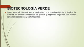 BIOTECNOLOGÍA VERDE
 Hace especial hincapié en la agricultura y el medioambiente e implica la
creación de nuevas variedades de plantas y especies vegetales con interés
agrícola,biopesticidas y biofertilizantes.
 