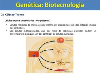 2) Células-Tronco
Células-Tronco Embrionárias (Pluripotentes)
• Células retiradas da massa celular interna de blastocistos (um dos estágios iniciais
dos embriões).
• São células indiferenciadas, que por meio de estímulos químicos podem se
diferenciar em qualquer um dos 200 tipos de células humanas.
Genética: Biotecnologia
 