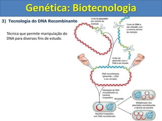 3) Tecnologia do DNA Recombinante
Genética: Biotecnologia
Técnica que permite manipulação do
DNA para diversos fins de estudo.
 