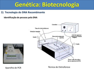 3) Tecnologia do DNA Recombinante
Genética: Biotecnologia
Identificação de pessoas pelo DNA
Aparelho de PCR Técnica de Eletroforese
 