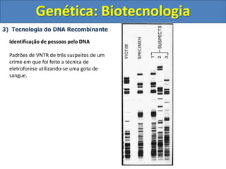 3) Tecnologia do DNA Recombinante
Genética: Biotecnologia
Identificação de pessoas pelo DNA
Padrões de VNTR de três suspeitos de um
crime em que foi feito a técnica de
eletroforese utilizando-se uma gota de
sangue.
 
