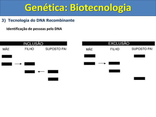 3) Tecnologia do DNA Recombinante
Genética: Biotecnologia
Identificação de pessoas pelo DNA
 