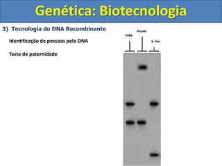 3) Tecnologia do DNA Recombinante
Genética: Biotecnologia
Identificação de pessoas pelo DNA
Teste de paternidade
 