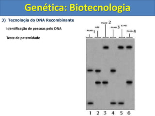 3) Tecnologia do DNA Recombinante
Genética: Biotecnologia
Identificação de pessoas pelo DNA
Teste de paternidade
 
